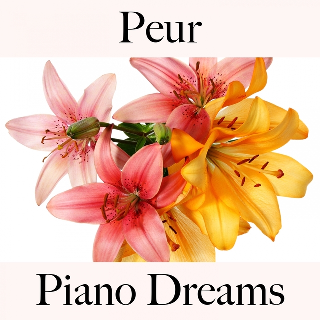 Peur: Piano Dreams - La Meilleure Musique Pour Se Sentir Mieux