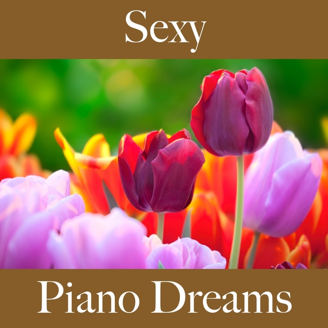 Sexy: Piano Dreams - The Best Music For The Sensual Time Together