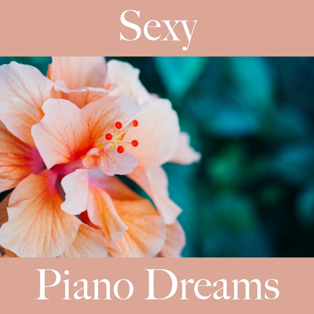 Sexy: Piano Dreams - A Melhor Música Para Momentos Sensuais A Dois