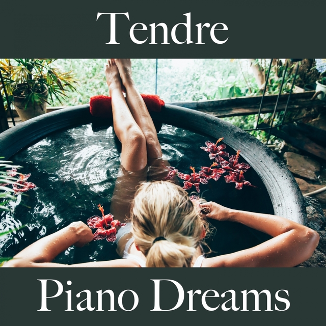 Tendre: Piano Dreams - Pour Les Moments De Sensualité À Deux