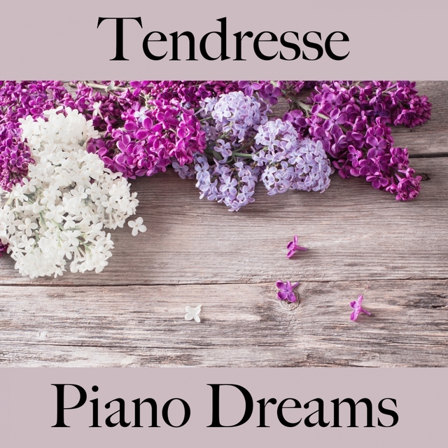 Tendresse: Piano Dreams - Pour Les Moments De Sensualité À Deux