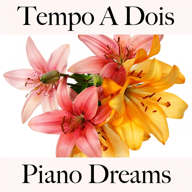Tempo A Dois: Piano Dreams - A Melhor Música Para Momentos Sensuais A Dois