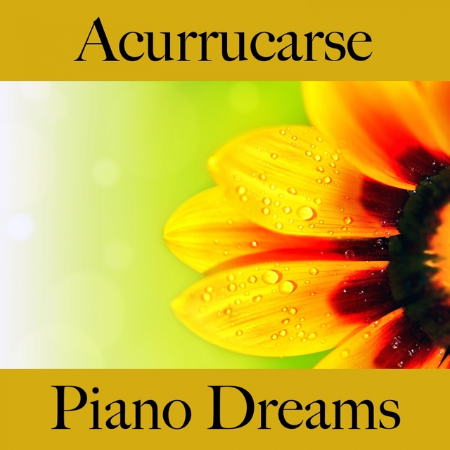 Acurrucarse: Piano Dreams - La Mejor Música Para El Tiempo Sensual Entre Dos