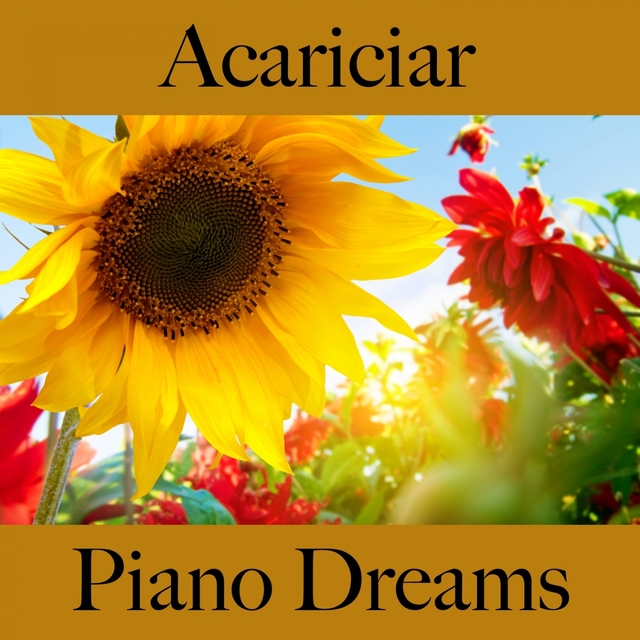 Acariciar: Piano Dreams - A Melhor Música Para Momentos Sensuais A Dois