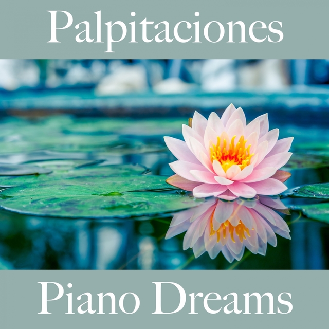 Palpitaciones: Piano Dreams - La Mejor Música Para El Tiempo Entre Dos