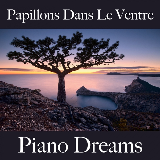 Papillons Dans Le Ventre: Piano Dreams - La Meilleure Musique Pour Les Moments À Deux