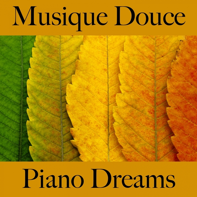 Musique Douce: Piano Dreams - Les Meilleurs Sons Pour Se Détendre