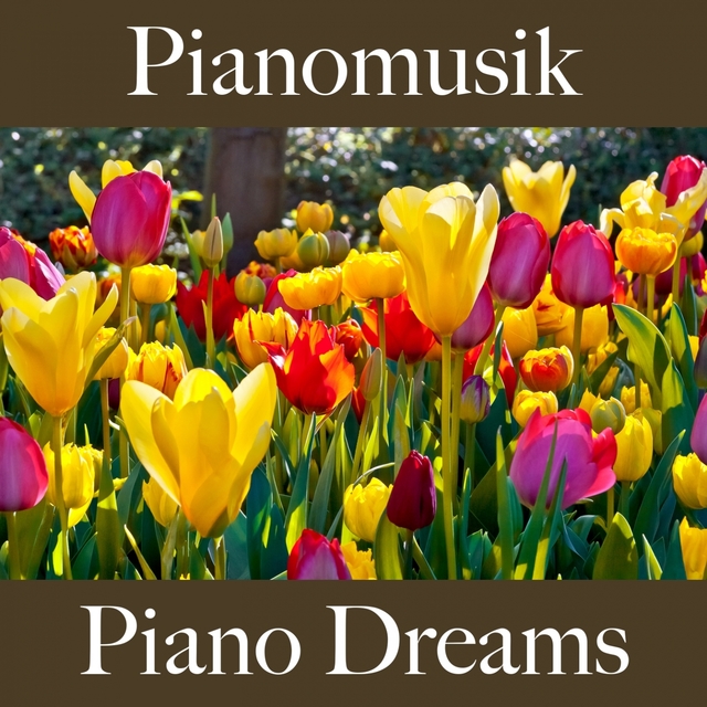 Pianomusik: Piano Dreams - Die Besten Sounds Zum Entspannen