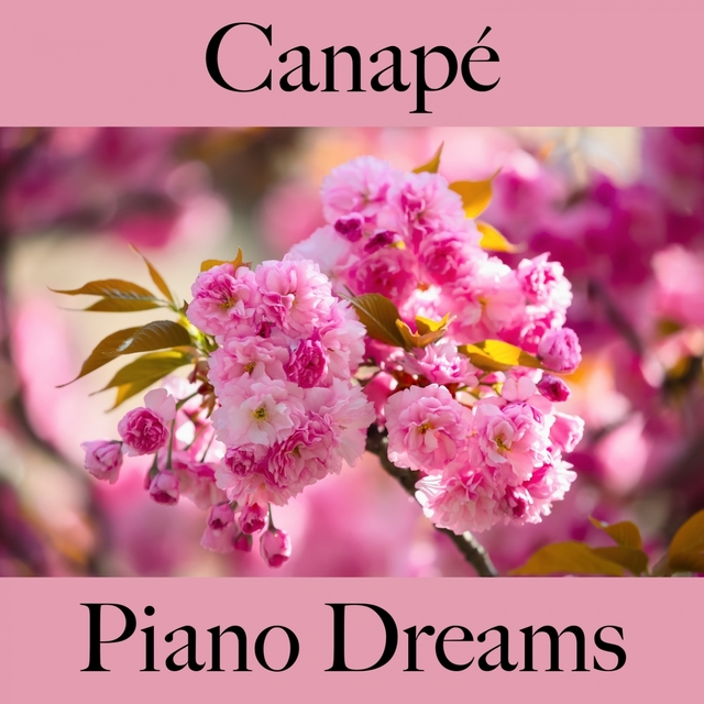 Canapé: Piano Dreams - La Meilleure Musique Pour Se Détendre