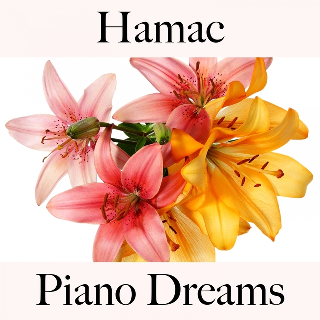 Hamac: Piano Dreams - La Meilleure Musique Pour Se Détendre