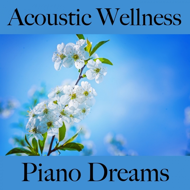 Acoustic Wellness: Piano Dreams - Os Melhores Sons Para Relaxar