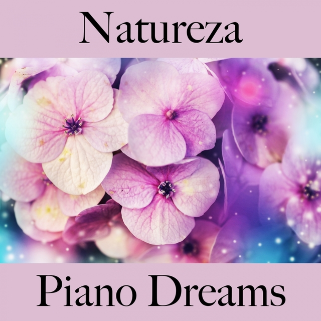 Natureza: Piano Dreams - A Melhor Música Para Relaxar