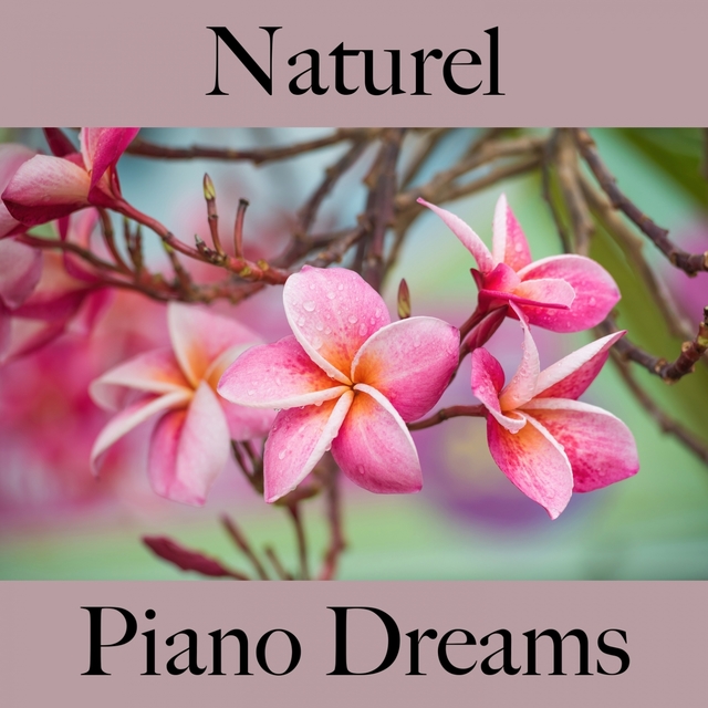 Naturel: Piano Dreams - La Meilleure Musique Pour Se Détendre