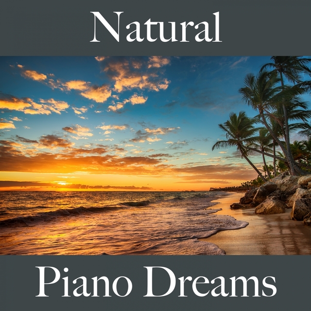 Natural: Piano Dreams - A Melhor Música Para Relaxar