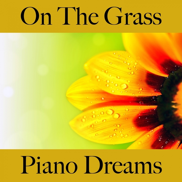 On The Grass: Piano Dreams - The Best Music For Relaxation