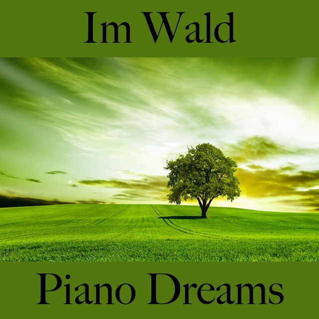 Im Wald: Piano Dreams - Die Beste Musik Zum Entspannen