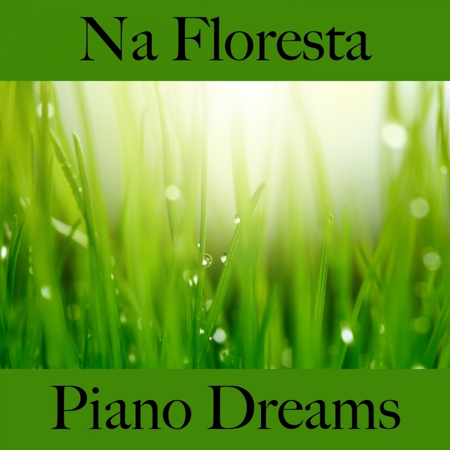 Na Floresta: Piano Dreams - A Melhor Música Para Relaxar