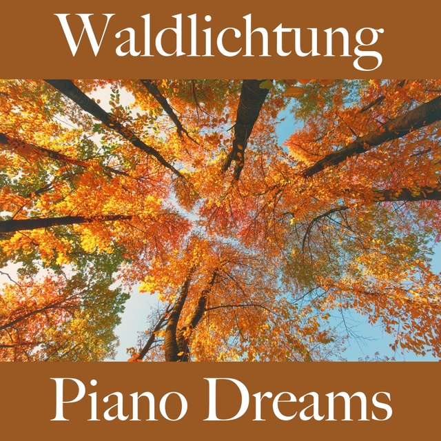 Waldlichtung: Piano Dreams - Die Beste Musik Zum Entspannen