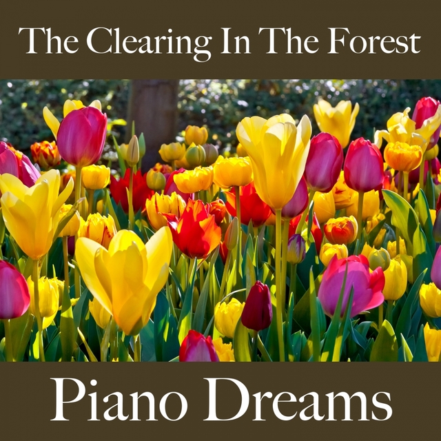 The Clearing In The Forest: Piano Dreams - The Best Music For Relaxation