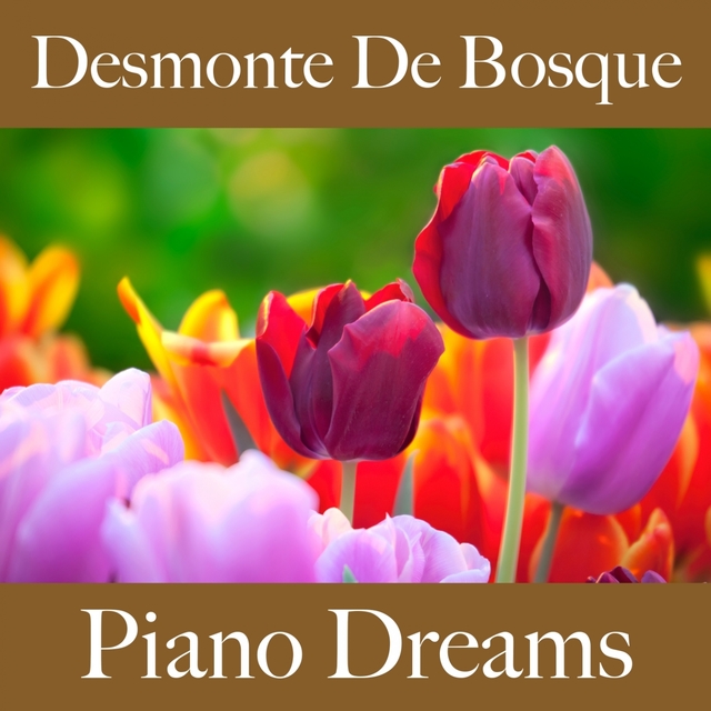 Desmonte De Bosque: Piano Dreams - La Mejor Música Para Descansarse