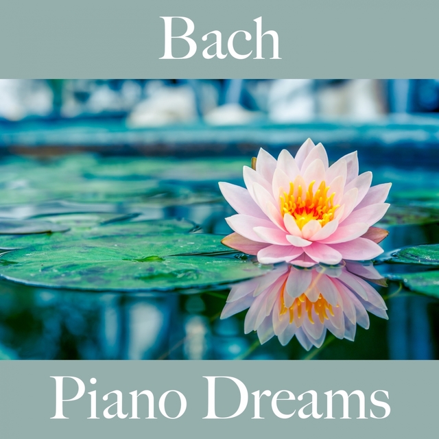 Bach: Piano Dreams - Die Beste Musik Zum Entspannen