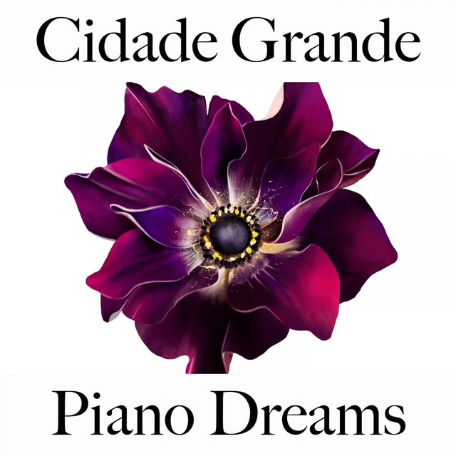 Cidade Grande: Piano Dreams - Os Melhores Sons Para Relaxar