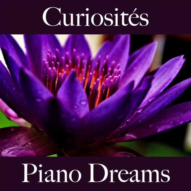 Curiosités: Piano Dreams - Les Meilleurs Sons Pour Se Détendre