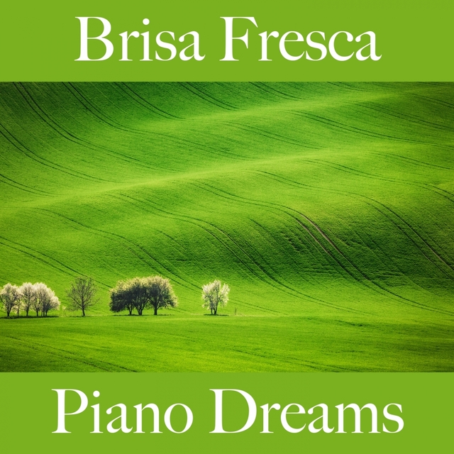 Brisa Fresca: Piano Dreams - A Melhor Música Para Relaxar