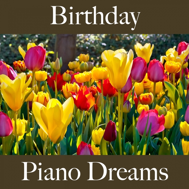 Birthday: Piano Dreams - The Best Sounds For Celebrating