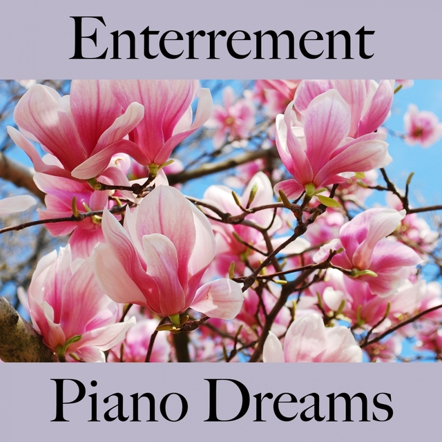 Enterrement: Piano Dreams - Les Meilleurs Sons Pour Faire La Fête