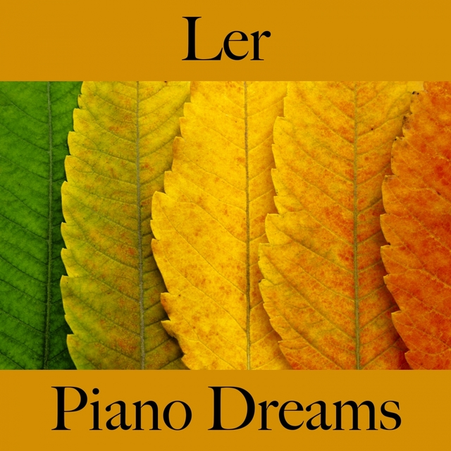 Ler: Piano Dreams - A Melhor Música Para Relaxar