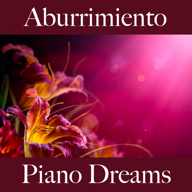 Aburrimiento: Piano Dreams - La Mejor Música Para Descansarse