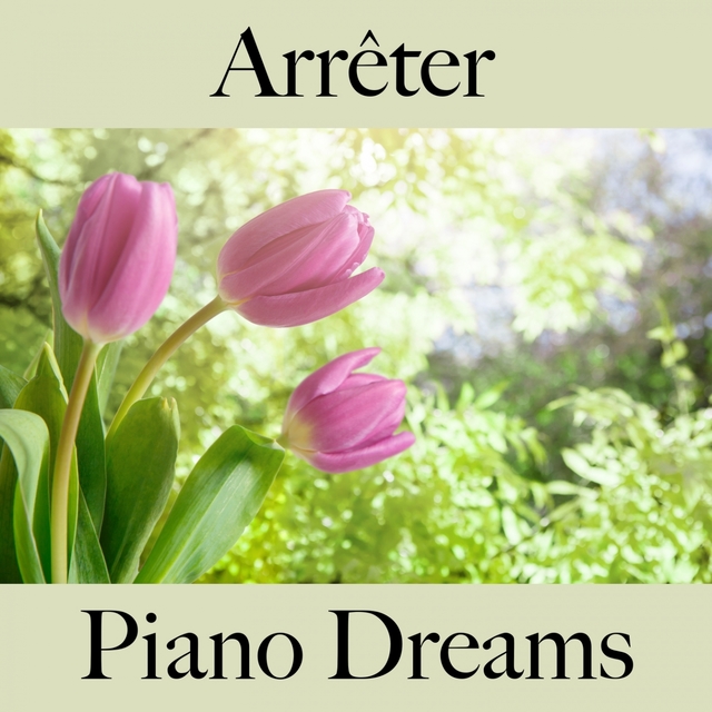 Arrêter: Piano Dreams - La Meilleure Musique Pour Se Détendre