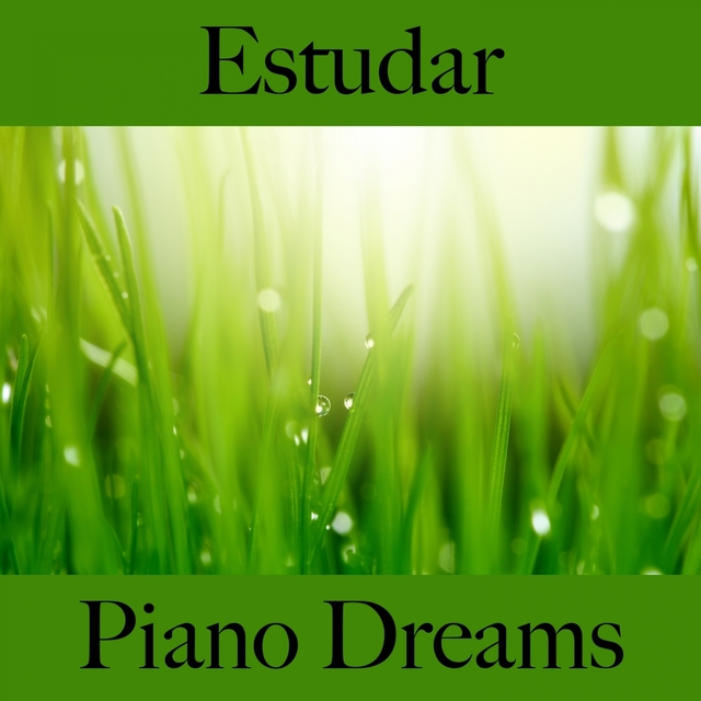 Estudar: Piano Dreams - A Melhor Música Para Relaxar