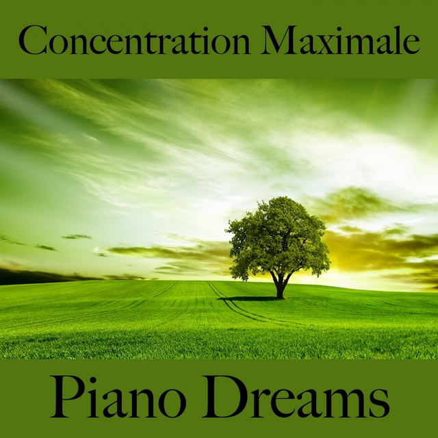 Concentration Maximale: Piano Dreams - La Meilleure Musique Pour Se Détendre