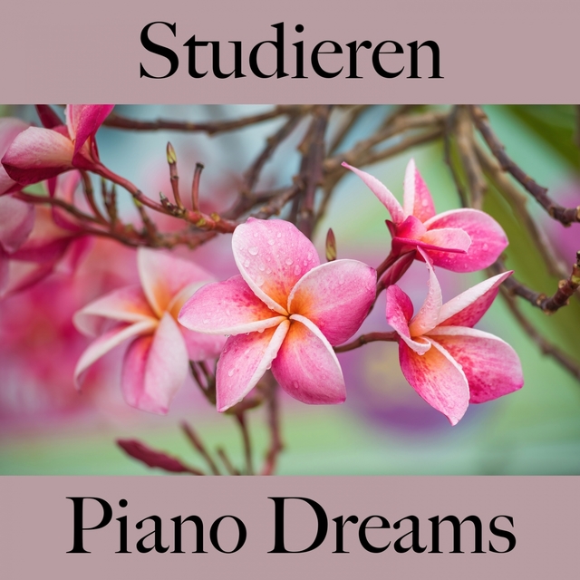 Studieren: Piano Dreams - Die Beste Musik Zum Entspannen