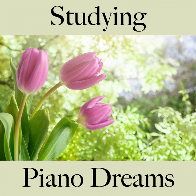 Studying: Piano Dreams - The Best Music For Relaxation