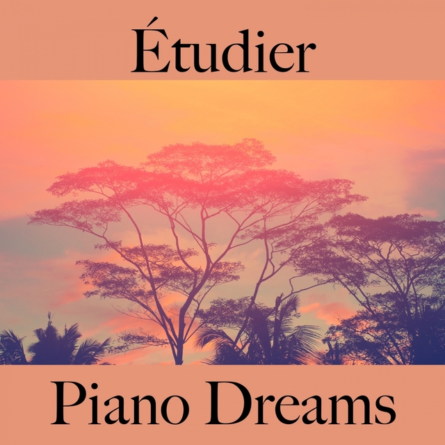 Étudier: Piano Dreams - La Meilleure Musique Pour Se Détendre