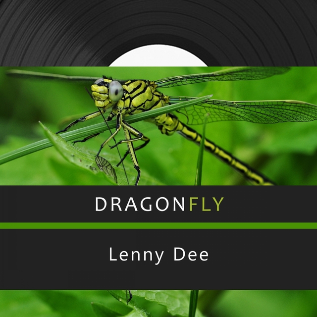 Dragonfly