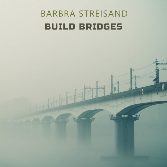 Build Bridges