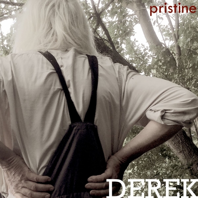 Couverture de Derek