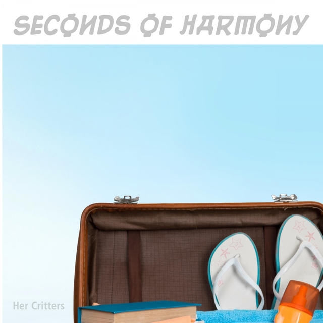 Couverture de Seconds Of Harmony