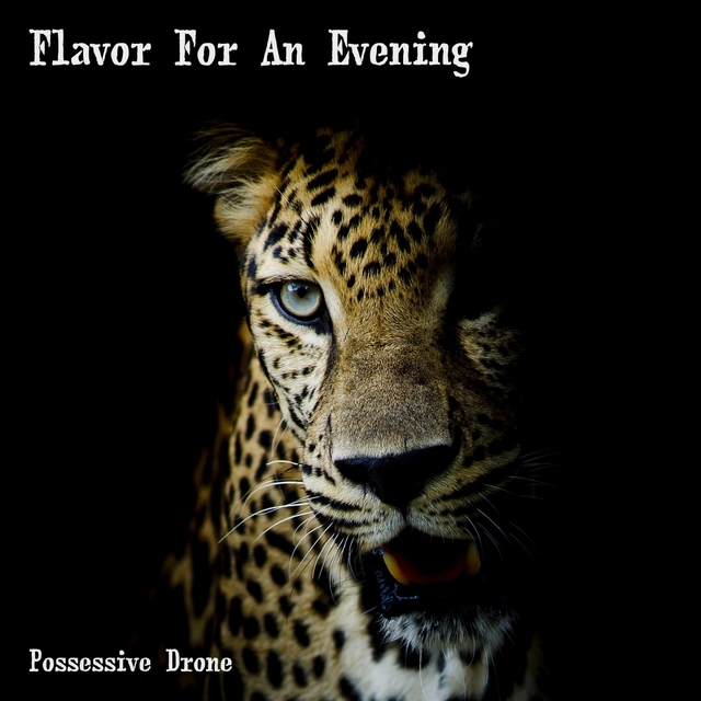 Couverture de Flavor For An Evening