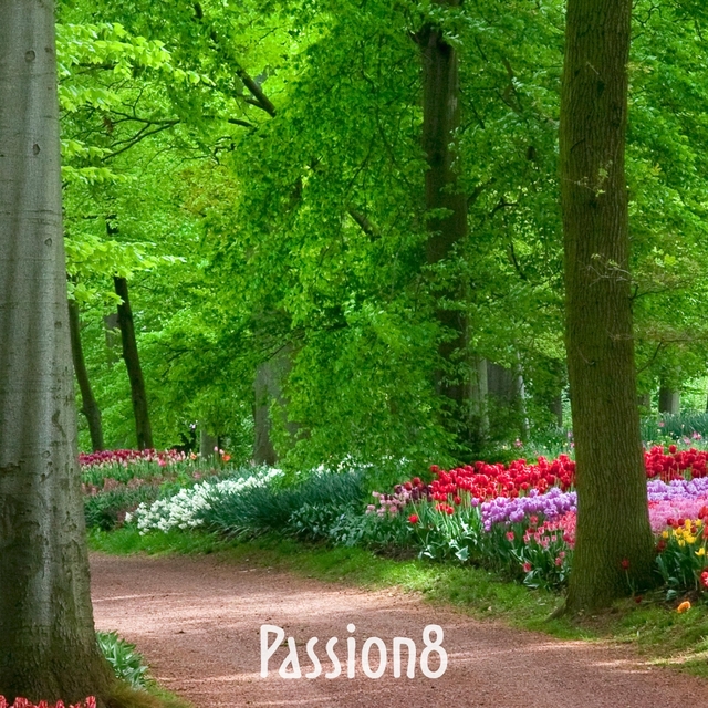 Passion8