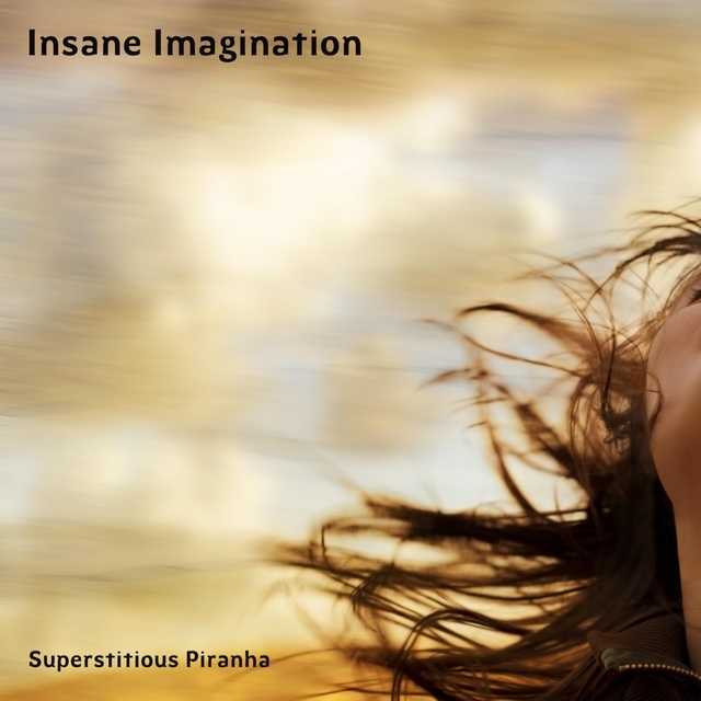 Couverture de Insane Imagination