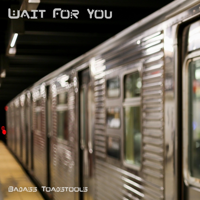 Couverture de Wait For You