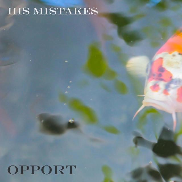 Couverture de His Mistakes