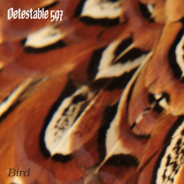 Couverture de Bird