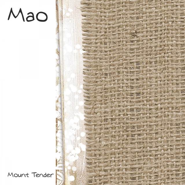 Couverture de Mao