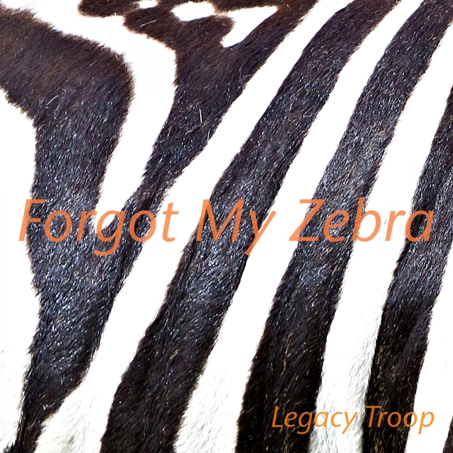 Forgot My Zebra